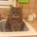 pumkin-clothpin avatar