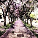 pumpernickelandcoal avatar