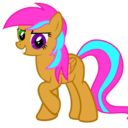 pumpkin-spices avatar