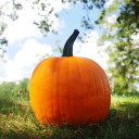 pumpkinboooo avatar