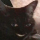 pumpkincatdoodling avatar