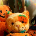 pumpkincatplush avatar