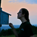 pumpkindredspirits avatar