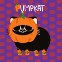 pumpkinkittys avatar