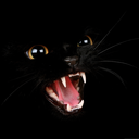 pumpkinpiepuppy avatar