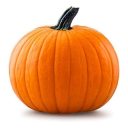 pumpkinpumpkinton avatar