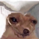 pun-in-a-million avatar