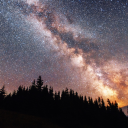 punching-bag-swag avatar