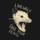 punk-opossum avatar