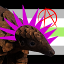 punk-pangolins avatar