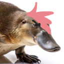 punkassplatypus avatar