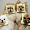 punkdassbarnes avatar