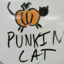 punkincat1977 avatar