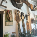 punkprincess77 avatar