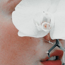 punkpsychology avatar