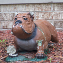 punkybrainster avatar