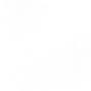 puntodevision avatar