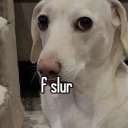 pup-has-rabies avatar