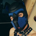 pup-mendes avatar