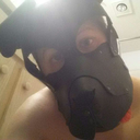 pup-schatz avatar