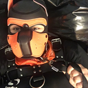 pup-thackie avatar