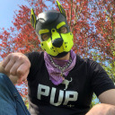 pup-trojan avatar