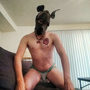 pupbullitt avatar