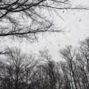 puppetmaker01 avatar