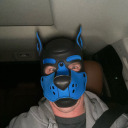 puppfenrir avatar