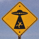 puppy-brother avatar