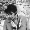 puppy-rollins avatar