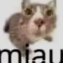 puppyboydykesyndrome avatar