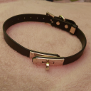 puppygirl-owner avatar