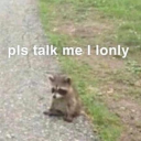 puppygirlknots avatar