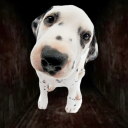 puppyjaws avatar