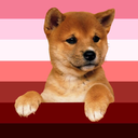 puppylovesuggest avatar