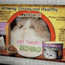 puppysharkbug avatar