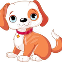 puppysocute avatar