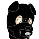 pupsir-blog avatar