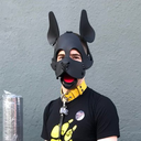 pupspike avatar