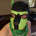pupsqueaker avatar