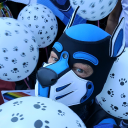 pupstrolchi avatar