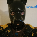 pupxiant avatar