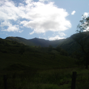 pure-life-joy avatar