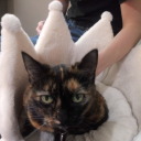 purelydoodles avatar