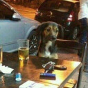 purerevolution avatar