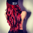 puresacy-blog avatar