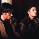 purgaytorynetwork avatar