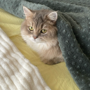 puroblemlerimvar avatar