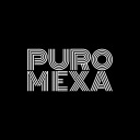 puromexa avatar